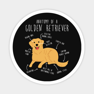 Golden Retriever Anatomy Magnet